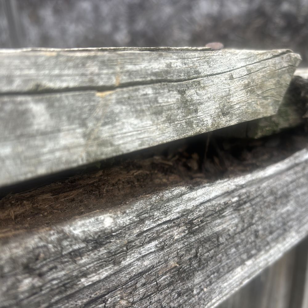 Building and Pest Inspections in Manor Lakes