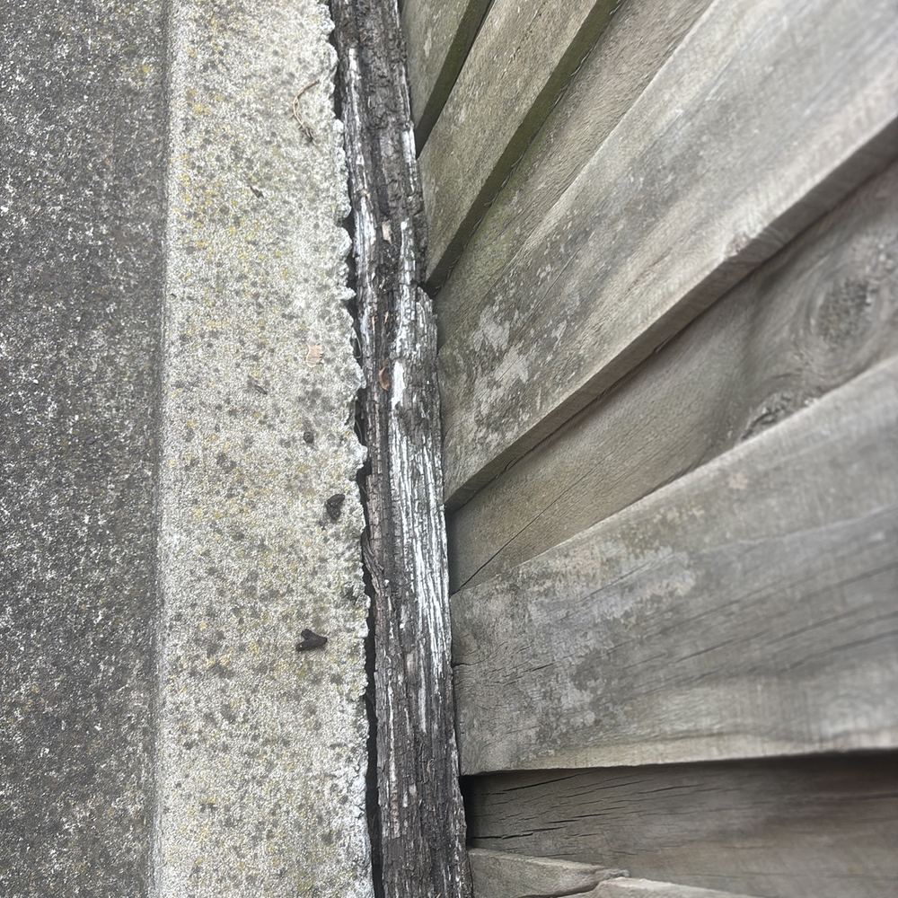 Termites and pest risk, Manor Lakes