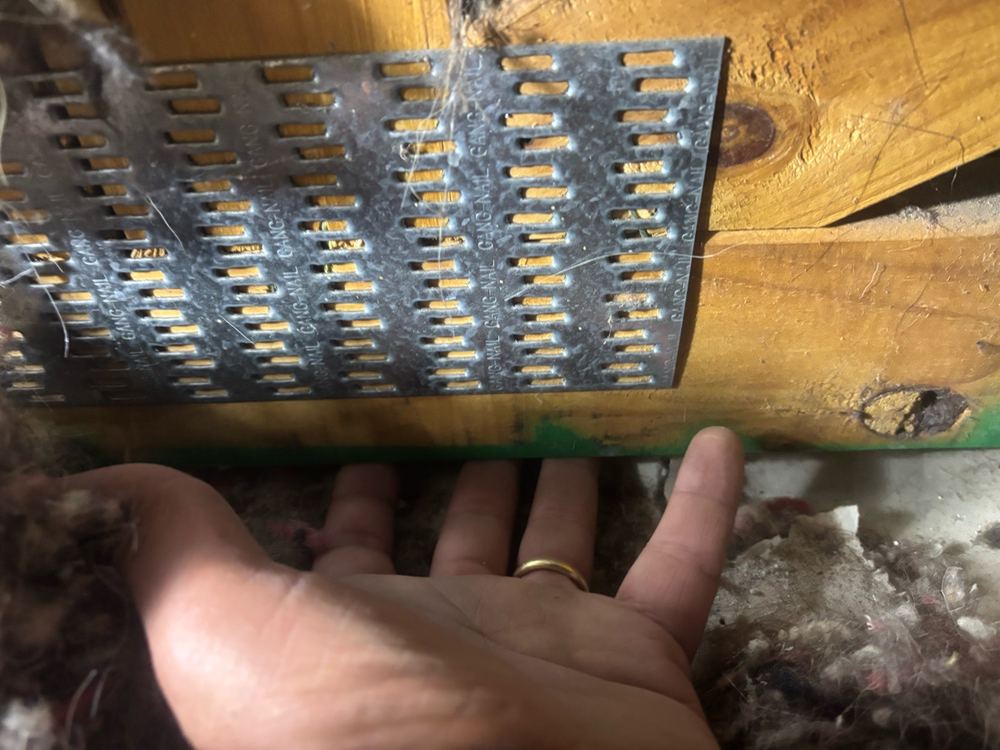Ceiling plaster pulling away from the trusses, seen from above, found during a defect investigation inspection in South Kingsville