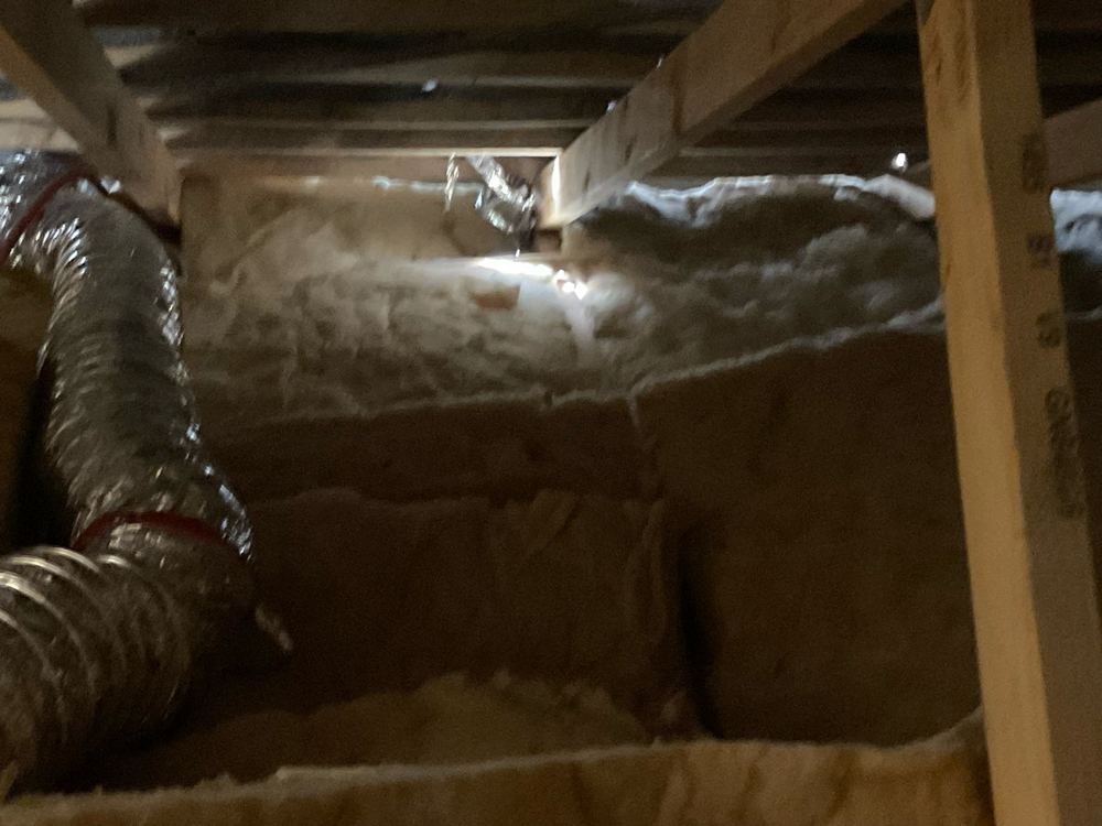 Daylight showing through the roof tiles above the kitchen, found during a pre-handover (PCI) inspection in Manor Lakes
